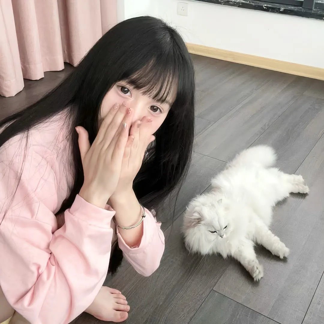 监察局长